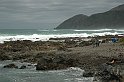 2012_12_08_NZL_Wellington_058